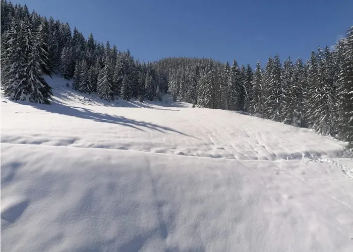 Contemporary 3br-2ba - Perfect For 8, Center - Le Serac Lägenhet *